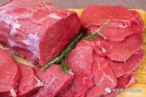 国产牛羊肉介绍视频,品质生活新选择