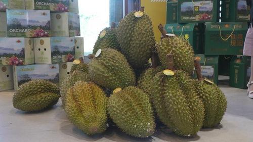 国产榴莲测试视频在线观看,在线观看视频揭秘美味之谜