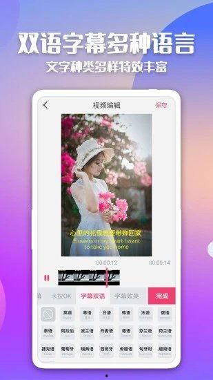 在线鉴赏国产字幕视频,领略光影魅力，感受时代脉搏