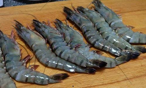 测评国产黑虎虾视频,品质与口感的双重享受