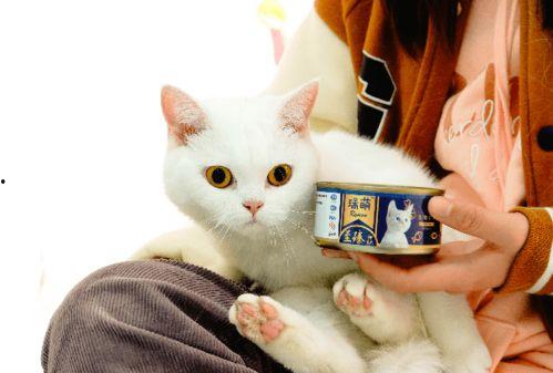 国产猫罐头生产视频大全,匠心独运，美味尽享