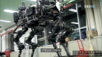 国产机器大狗视频大全,智能机械伙伴的精彩瞬间