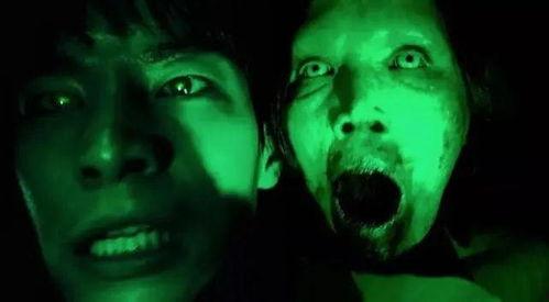 恐怖片国产新手攻略视频,揭秘惊悚元素，轻松驾驭惊悚之夜