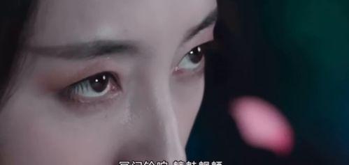 燃爆的国产特效视频