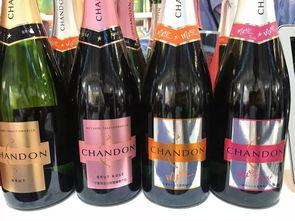 老外喝国产葡萄酒视频,一场跨文化的味蕾之旅