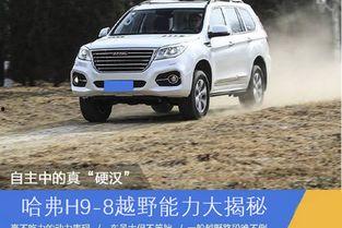 国产车越野性能视频大全