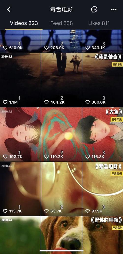 短视频国产片,光影流转，创意无限