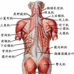 国产肌肌对肌肌视频,揭秘热门视频背后的魅力与争议